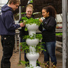 Foody 12 - Vertical Hydroponic Garden Tower