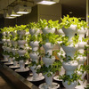 Foody 12 - Vertical Hydroponic Garden Tower