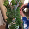 Foody 12 - Vertical Hydroponic Garden Tower
