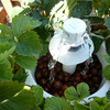 Foody 8 Vertical Hydroponic Garden Tower