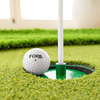FORB Professional Golf Putting Mat - Roll It Out Anywhere