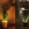 Forestarium - Illuminated Planter