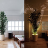 Forestarium - Illuminated Planter