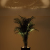 Forestarium - Illuminated Planter