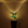 Forestarium - Illuminated Planter