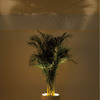 Forestarium - Illuminated Planter