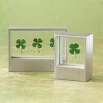 Framed Four-Leaf Clover - Luck of the Irish