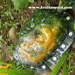 Frankenstein Pumpkin Shaping Mold