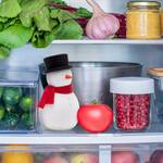 Freezy - Whimsical Snowman Fridge Deodorizer