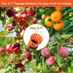 Fruit Picker Tool w/ Collection Funnel and Bag - Continuous Harvesting