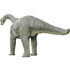 Full-Size Camarasaurus Dinosaur Replica