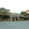 Full-Size Camarasaurus Dinosaur Replica