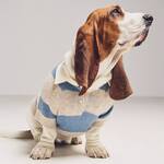 FURB Striped Dog Rugby Sweater