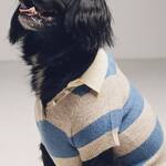 FURB Striped Dog Rugby Sweater