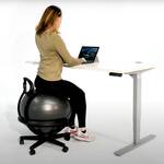 Gaiam Ultimate Balance Ball Chair