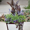 Galvanized Corrugated Metal Self-Watering Planters