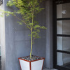 Galvanized Corrugated Metal Self-Watering Planters