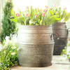 Galvanized Metal Barrel Planter