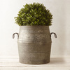Galvanized Metal Barrel Planter