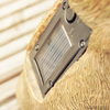 Garden Critter Solar Lights