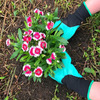 Garden Gloves with Claws