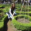 Garden Groom Garden Barber - Hedge and Shrub Sculptor
