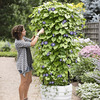 Gardener's Revolution Self-Watering Vine Planter