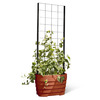 Gardener's Revolution Self-Watering Vine Planter