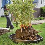 GardenGlide Transporter
