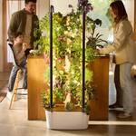 Gardyn 4.0 - Vertical Hydroponic Smart A.I. Garden Growing System