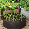 Garlic Grow Bag