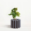 Gear Pots - Mechanical Spur Gear Planters