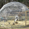 Geodesic Domes