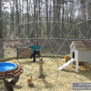 Geodesic Domes