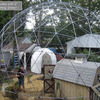 Geodesic Domes
