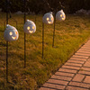 Ghost and Pumpkin Halloween Pathway Lanterns