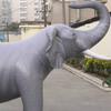 Giant 7' Inflatable Elephant!