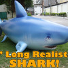Giant 7' Inflatable Shark