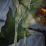 Giant Animated Man-Eating Venus Flytrap Plant