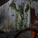Giant Animated Man-Eating Venus Flytrap Plant