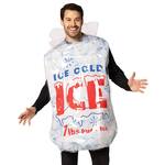 Giant Bag of Ice Costume