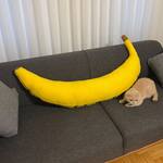Giant Banana Body Pillow - 70 Inches!