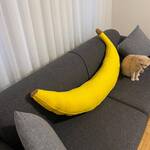 Giant Banana Body Pillow - 70 Inches!