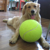 Giant Basketball-Sized Tennis Ball