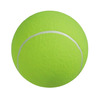 Giant Basketball-Sized Tennis Ball