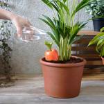 Giant Carrot Self-Watering Planter Spike