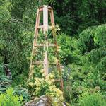 Giant Cedar Garden Obelisk - 8 Feet Tall!