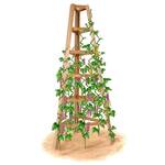 Giant Cedar Garden Obelisk - 8 Feet Tall!