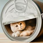 Giant Empty Can Cardboard Cat Scratcher