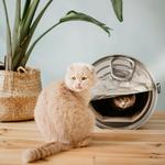 Giant Empty Can Cardboard Cat Scratcher